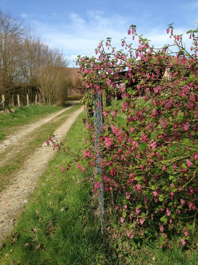 B&B Bekersveld Vlezenbeek Kültér fotó